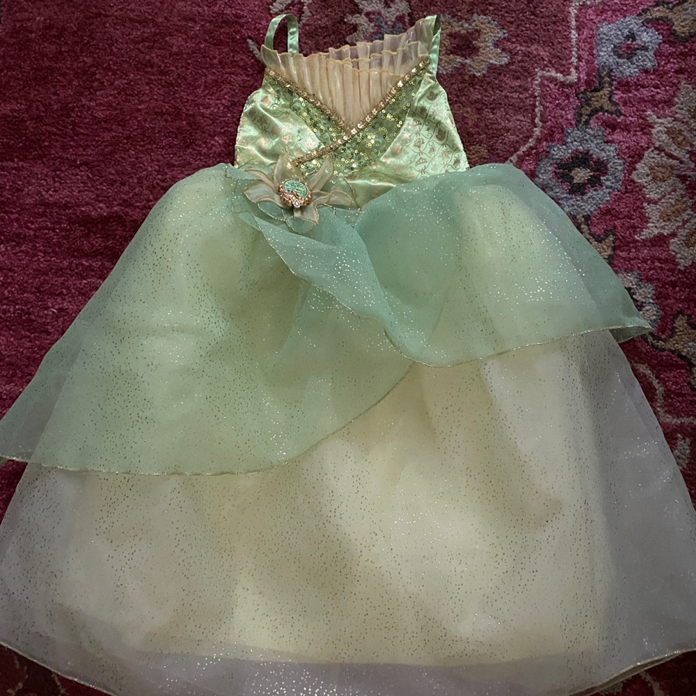Disney princess Tiana dress NWOT